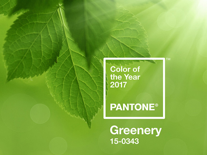 Pantone 公布 2017 年度代表色：草木绿 15-0343Greenery