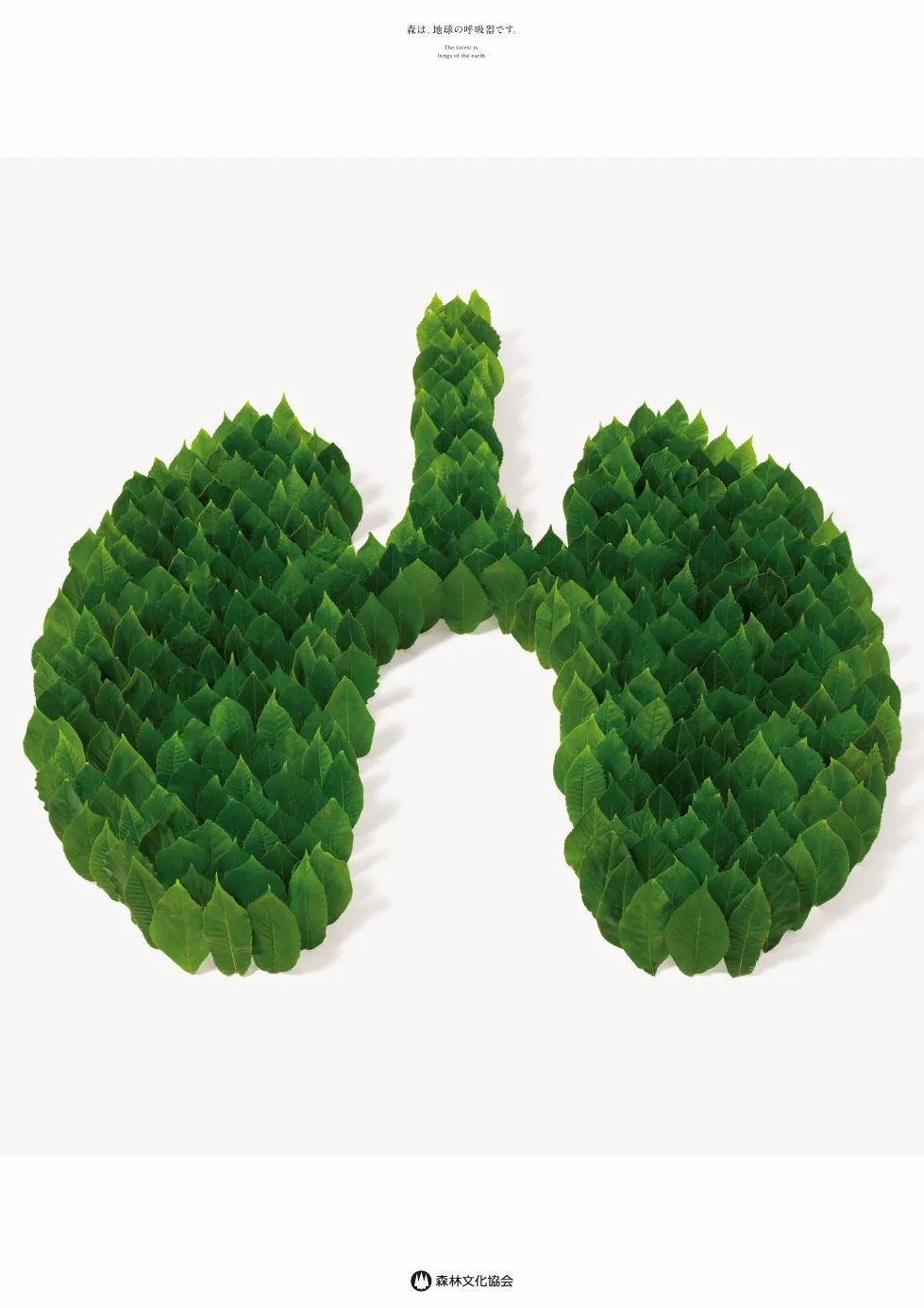 肺 海报
