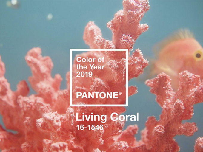 Pantone公布2019年度代表色「活珊瑚」5种配色<em>推荐</em>！