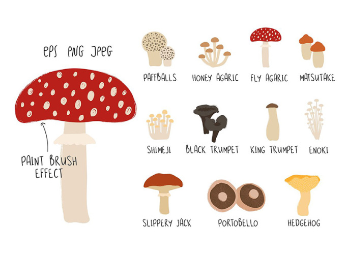 蘑菇矢量插画素材