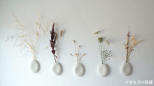 植物装饰墙壁