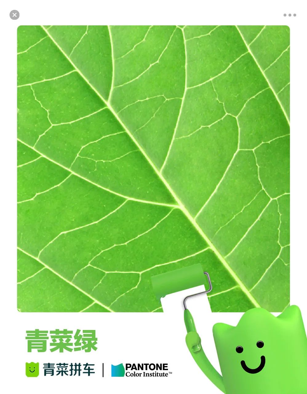 青菜拼车 × Pantone 联合发布环保品牌色