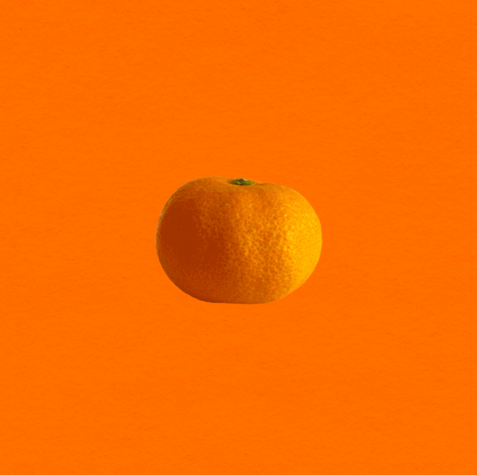 清水蜜柑Tangerine
