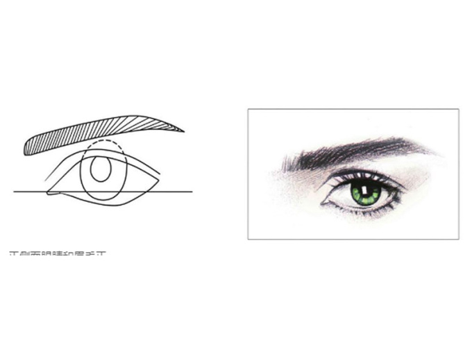 手绘插画技巧：五官的结构如何布局（眼睛眉毛篇）