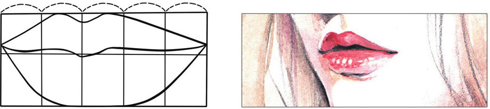 手绘插画技巧：五官的结构如何布局（嘴巴篇）