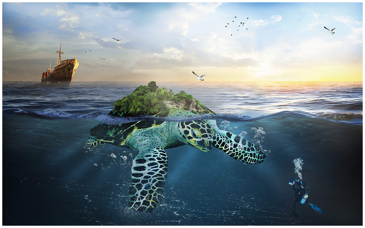 巨型海龟岛