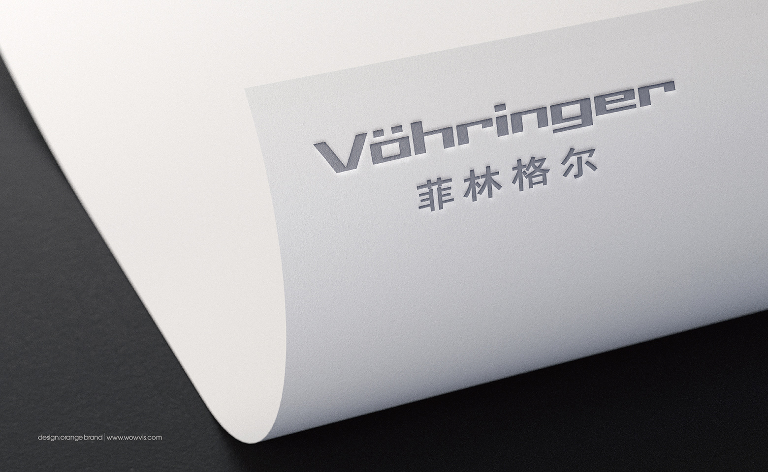 菲林格尔-品牌全案/vi设计/logo设计