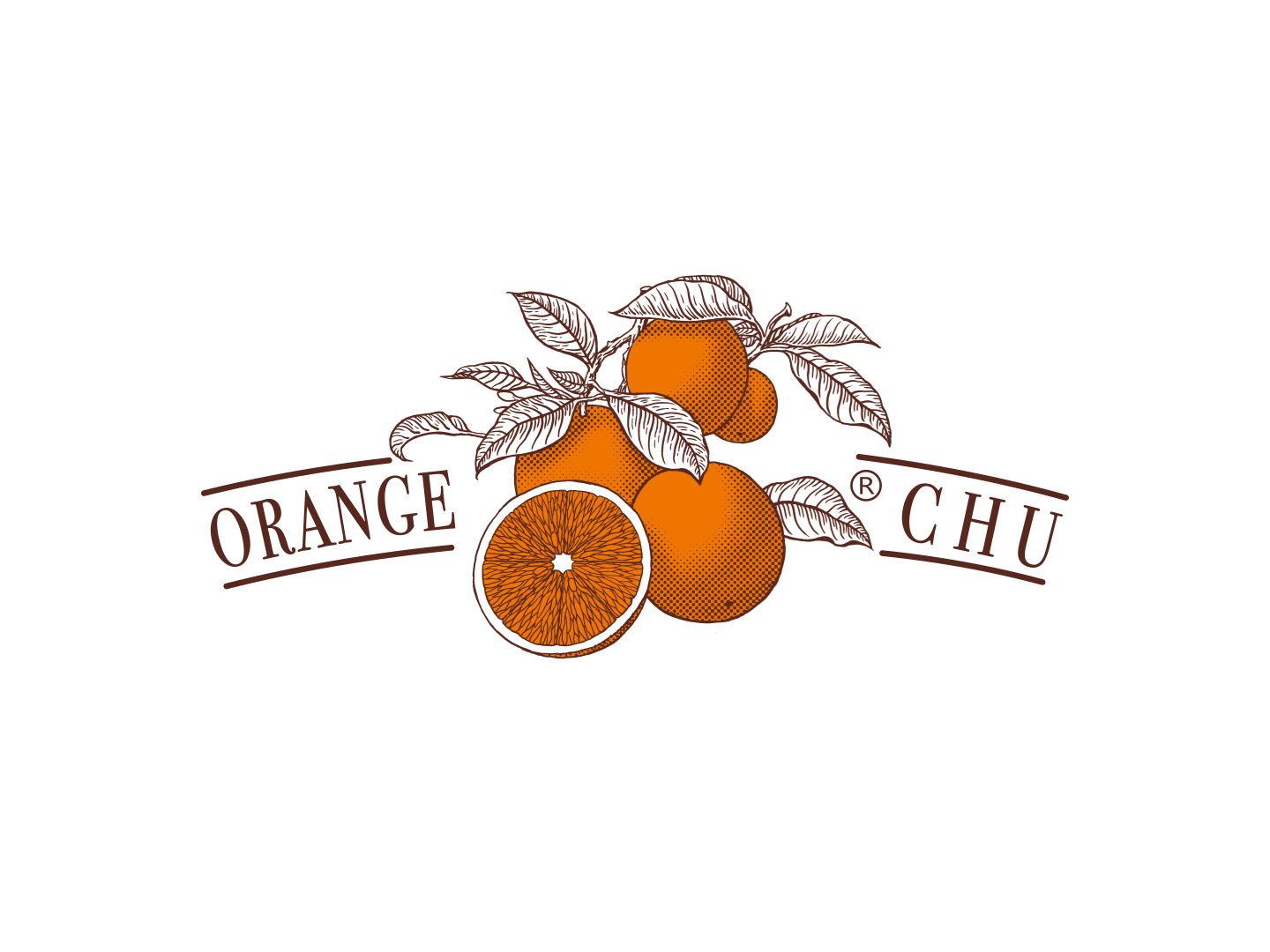 褚橙包装设计,橙子包装设计
