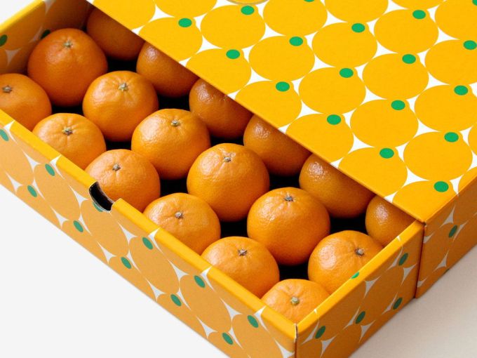 来自日本超级可爱的橙子包装