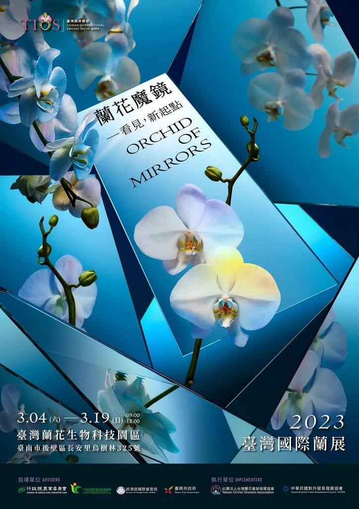 領略中文排版的魅力！中文海報精美呈現，美不勝收！