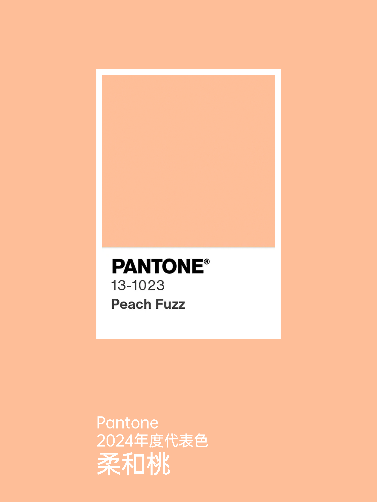 PANTONE 2024 年度代表色柔和桃
